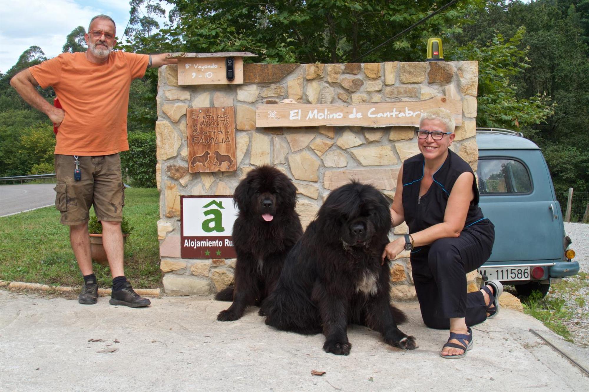 Posada Pet Friendly El Molino De Cantabria Entrambasaguas  Exterior foto